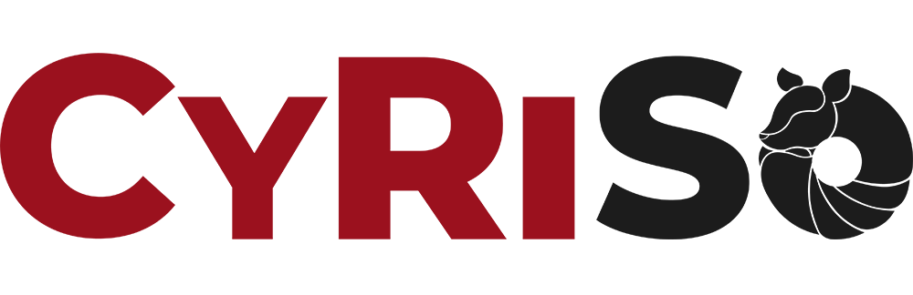CyRiSo Cyber Risk Solutions